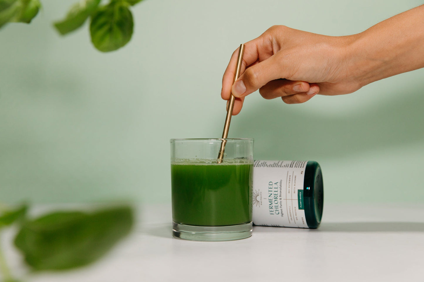 Fermented Chlorella Powder Certificate Of Analysis