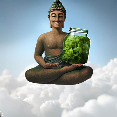Super greens powder in a glass alongside fresh green vegetables and marine phytoplankton