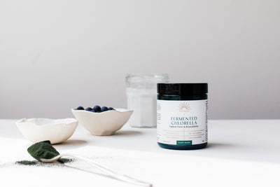 Fermented chlorella powder in a glass jar showing the fine green texture of processed Chlorella vulgaris