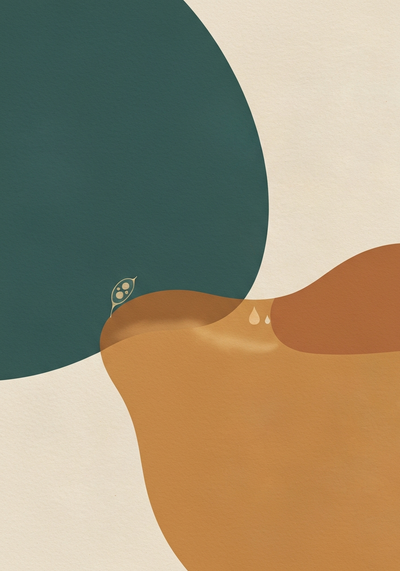 Abstract editorial illustration comparing algae supplement and fish oil sustainability with ecological balance motif in deep teal and warm sand