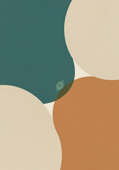 Abstract editorial illustration comparing marine phytoplankton and krill oil with paired motifs in teal and clay