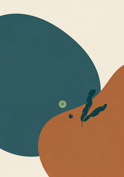 Abstract editorial illustration comparing microscopic and macroscopic algae forms in teal, sage, and clay tones