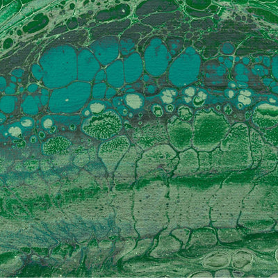 Red blood cell omega-3 fatty acid levels and markers of accelerated brain aging