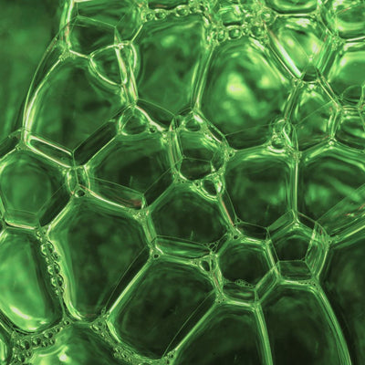 Beneficial effects of docosahexaenoic acid on cognition in age-related cognitive decline