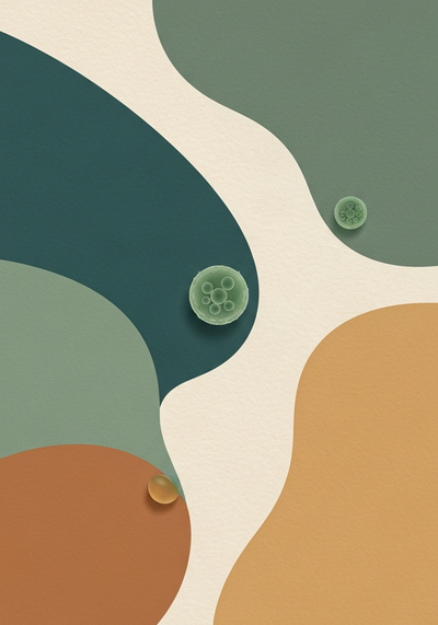 what is chlorella microalgae definition