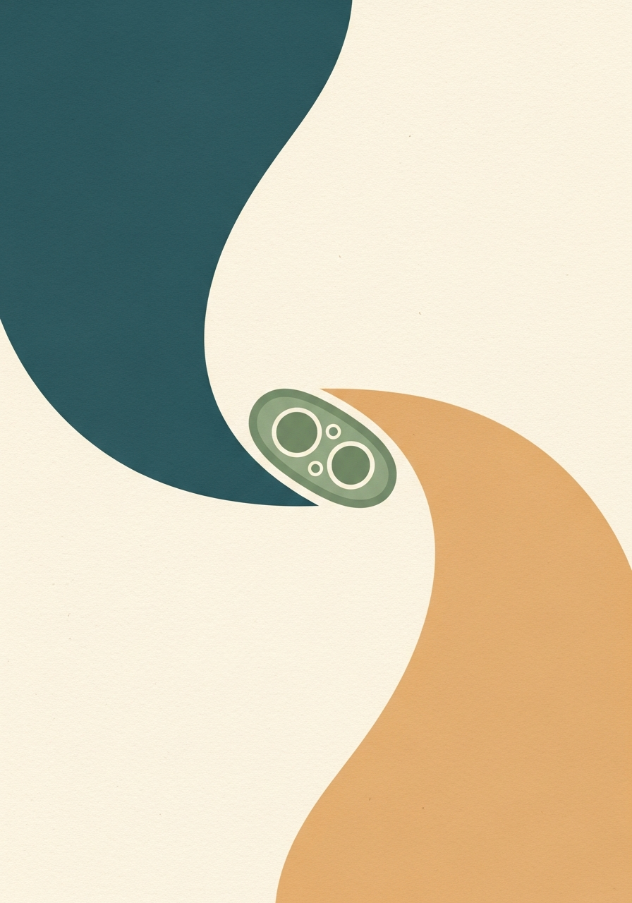 Abstract editorial illustration of a microscopic microalgae cell in muted teal and sage green tones on textured paper