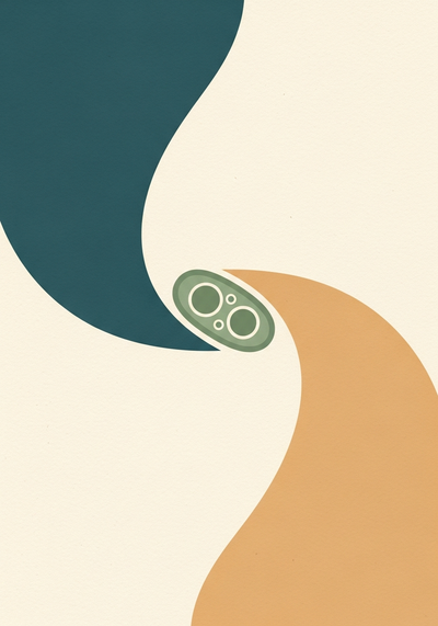 Abstract editorial illustration of a microscopic microalgae cell in muted teal and sage green tones on textured paper